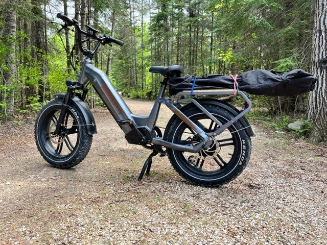 dazz Scout Cargo
